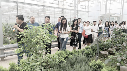 http://www10.hxu.edu.cn/HdUpFile/2018-6/20180629101457559.jpg